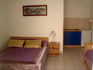 Апартаменты Apartments Odalović Биела Номер-студио с балконом-10